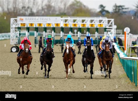 attheraces market movers|At The Races News .